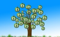 FIL币美国交易所最新价格动态解析，如何把握Filecoin行情走势