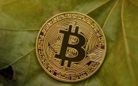 2024年8月3日WBF交易所FIL币价格行情，震荡调整中的交易观察